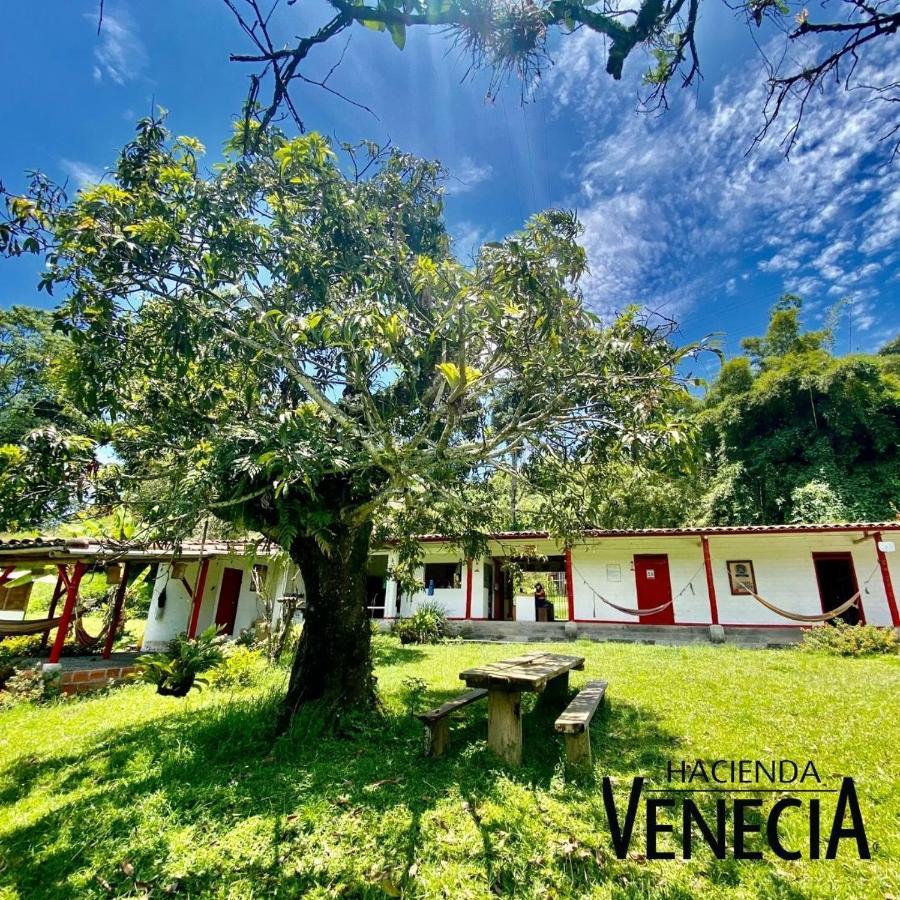 Hacienda Venecia Hostel San Peregrino Extérieur photo