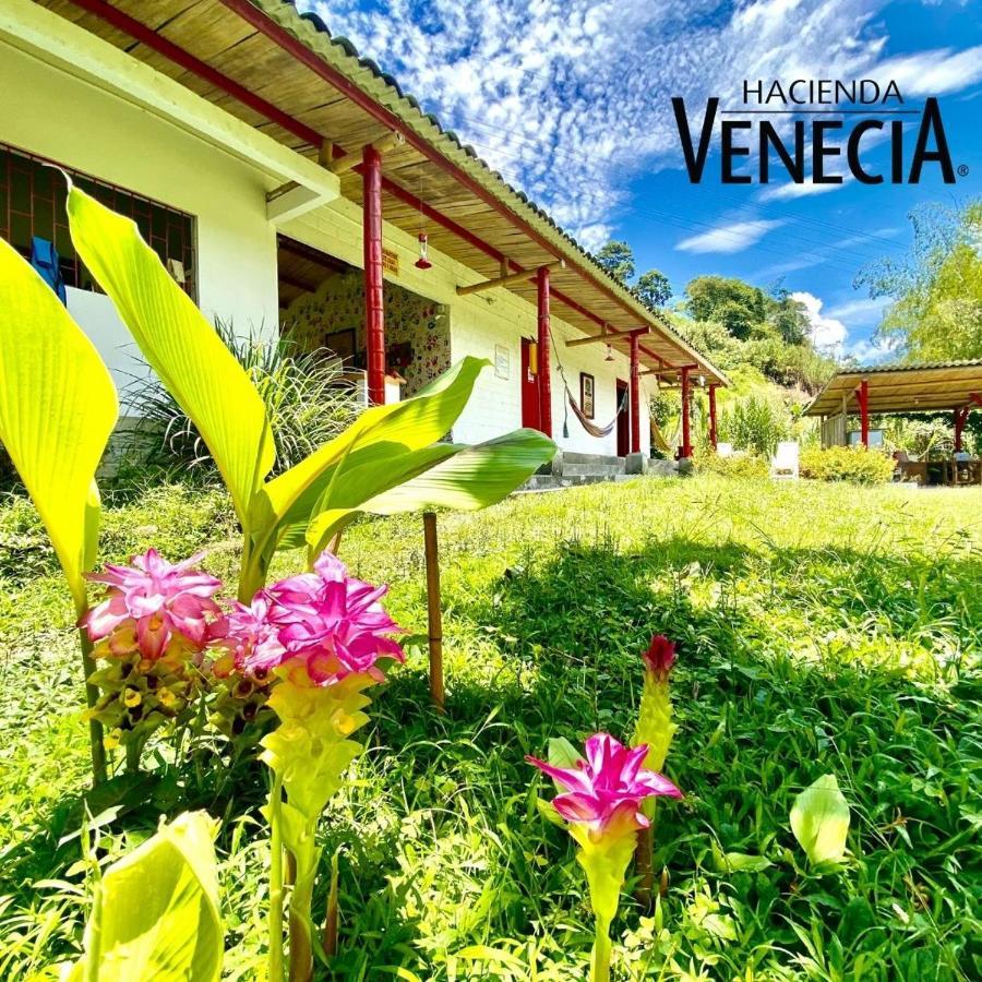 Hacienda Venecia Hostel San Peregrino Extérieur photo